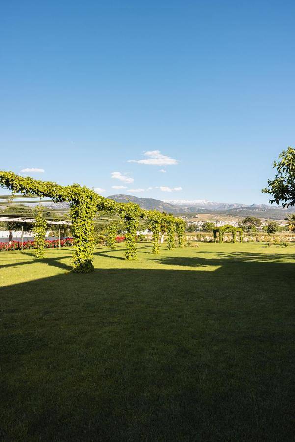 Casa rural para 14 personas, con piscina para niños y piscina además de vistas y jardín, Familias con niños en Granada - 4