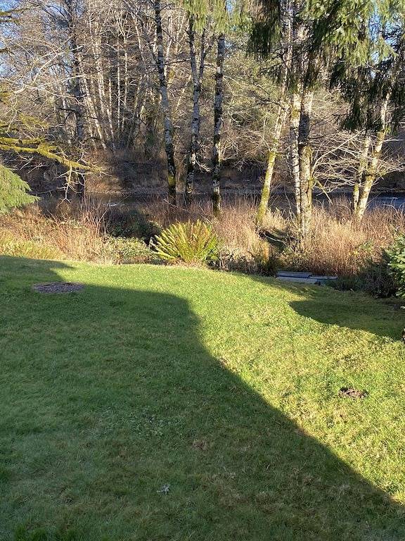 Gemütliche Hütte auf dem Sol Duc River Sleeps Four. Voll ausgestattete Küche und Bettwäsche. in Clallam County