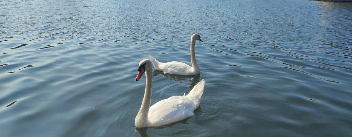 Bateau pour 2 personnes, avec vue et sauna en Bourgogne-Franche-Comté - 3