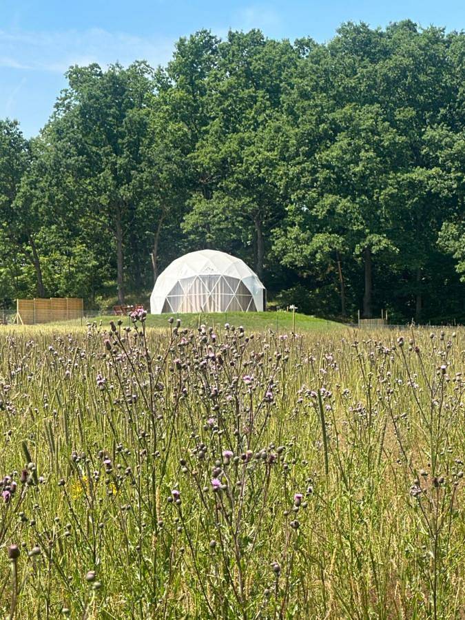 Karkonoski Glamping in Łomnica, Sudety (Polska)