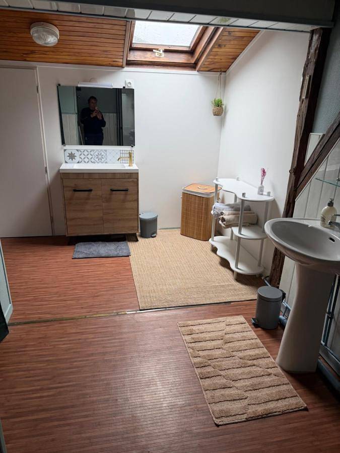 Location de vacances pour 7 personnes, animaux acceptés à Droyes - 2