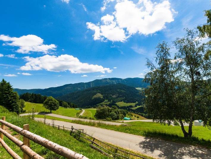 Ferienwohnung für 6 Personen, mit Garten in St. Lambrecht - 2