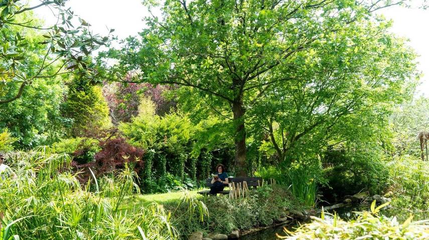 Casa rural para 4 personas, con jardín en Guipúzcoa - 3