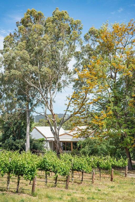 Holiday home for 6 people, with garden, with pets - 1