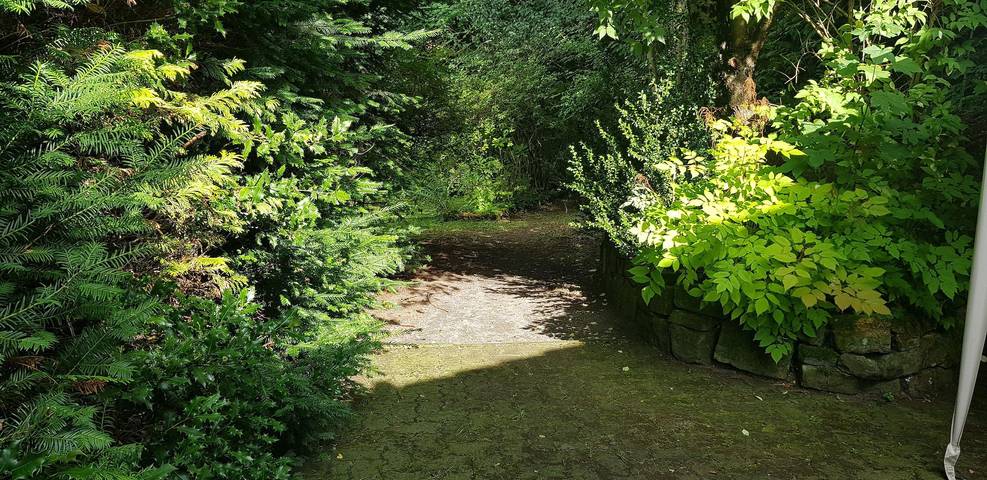 Ferienwohnung für 4 Personen, mit Balkon und Terrasse sowie Garten in Wildemann - 3