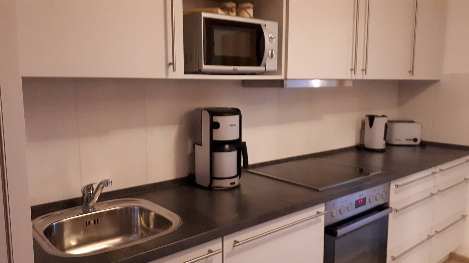 Ganze Ferienwohnung, Lachs in Westfehmarn, Gammendorf