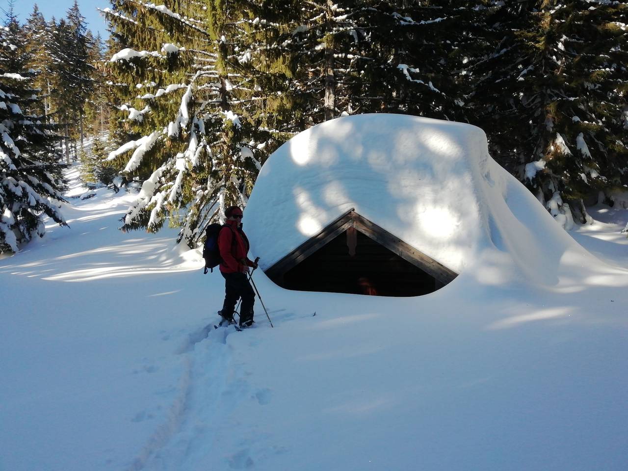 Ganze Ferienwohnung, Ferienwohnung Hinterreiter inkl. Chiemgaukarte - Ferienwohnung am Märchenwald 48qm, Balkon, 1 Schlafzimmer u. 1 Wohnschlafzimmer in Ruhpolding, Bayerische Alpen