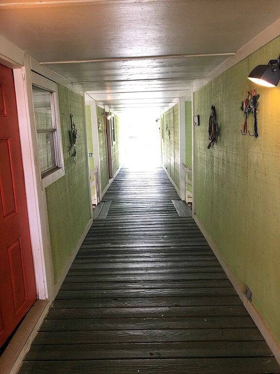 Ganze Wohnung, Inselpalmenhütte 3 in Grand Isle, Jefferson Parish