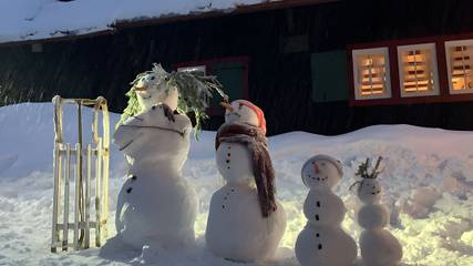 Chalet für 11 Personen in Suedlicher Schwarzwald, Feldberg, Bild 2