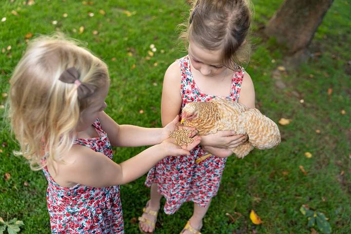 Ferienhaus für 5 Personen, mit Garten, kinderfreundlich in Passauer Land - 2