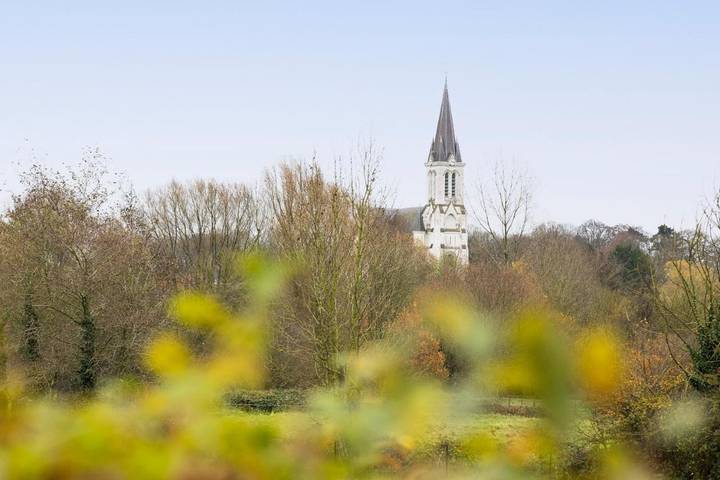 Gîte pour 8 personnes, avec jardin et sauna ainsi que jacuzzi et piscine à Sainghin-en-Mélantois - 4