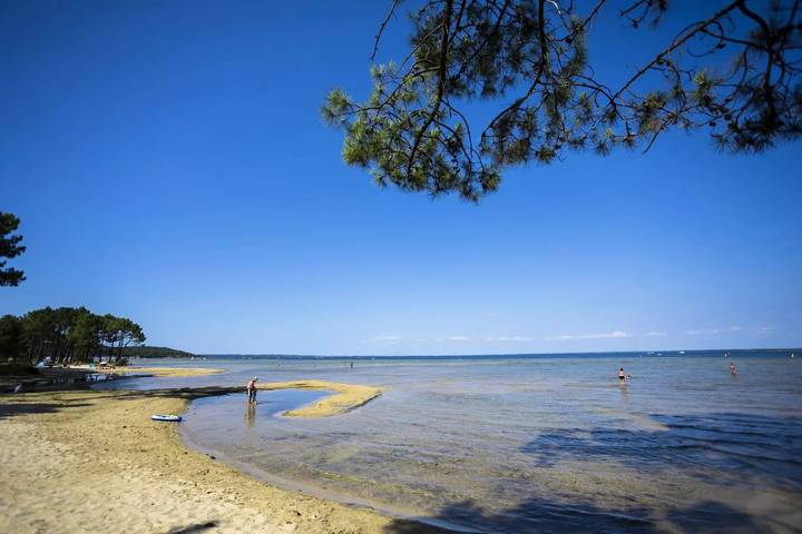 Mobil home pour 4 personnes, avec terrasse, animaux acceptés à Biscarrosse - 2