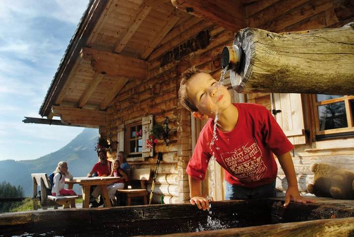Wohnwagen für 5 Personen, mit Sauna und Terrasse, mit Haustier in der Steiermark