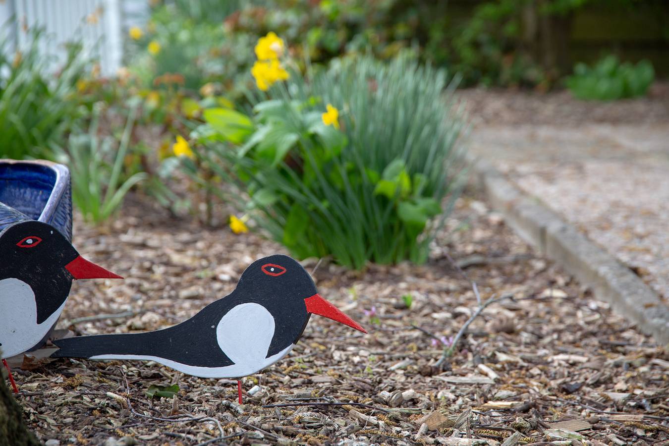 Ganze Ferienwohnung, Vogelhus / Yvonne Vogel - Fewo Wattenläuper in Pellworm, Nordfriesische Inseln