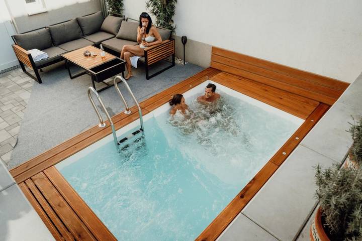 Vakantiehuis voor 22 personen, with whirlpool and terras as well as sauna, met huisdier - 1
