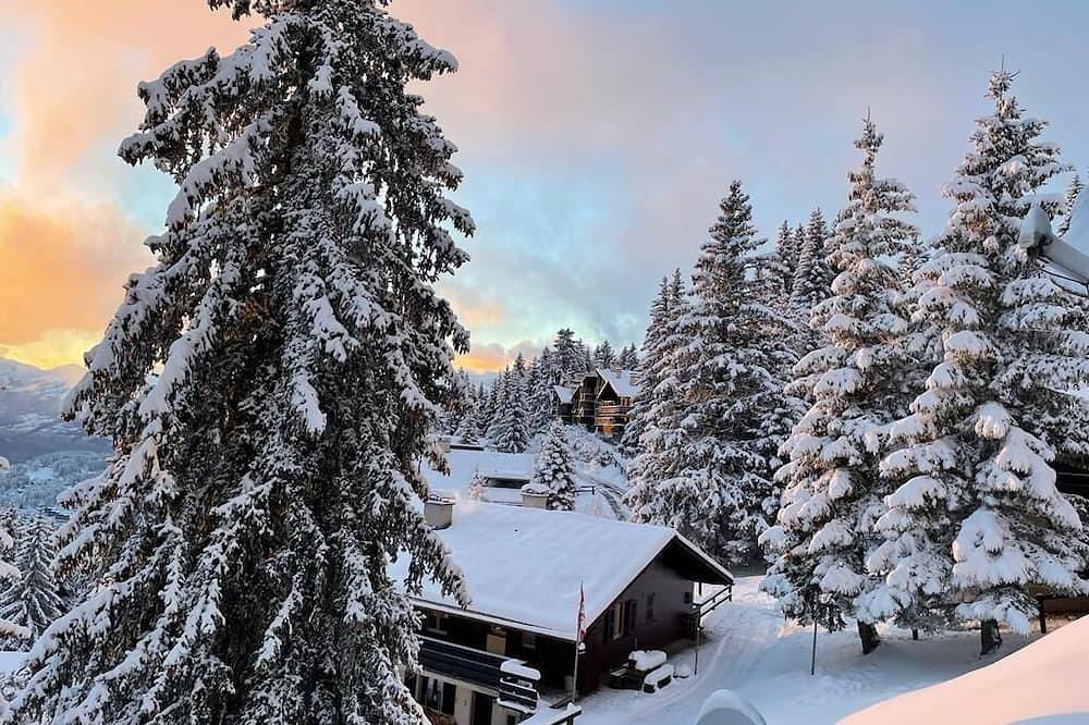 Appartement entier, Appartement duplex dans chalet à la montagne in Gryon, Alpes Vaudoises