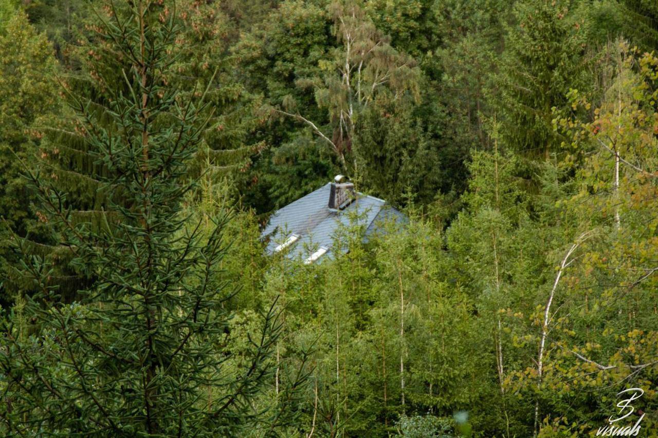 Ganze Wohnung, Ferienwohnung Eulennest in Dippoldiswalde, Osterzgebirge