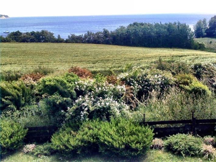 Ferienhaus für 3 Personen, mit Sauna und Terrasse, mit Haustier in Alt Reddevitz - 3