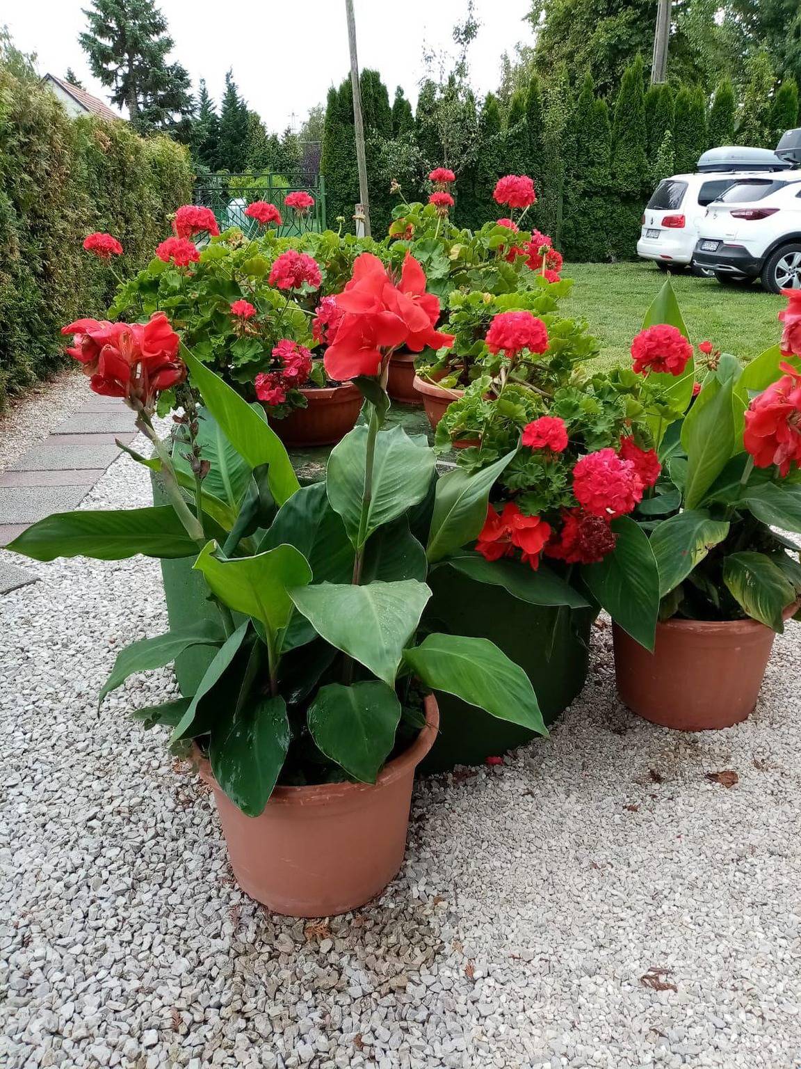 Apartamento vacacional entero, Wohnung direkt am See mit Pool, Wlan, Garten in Balatonmáriafürdő, Orilla sur del lago Balaton