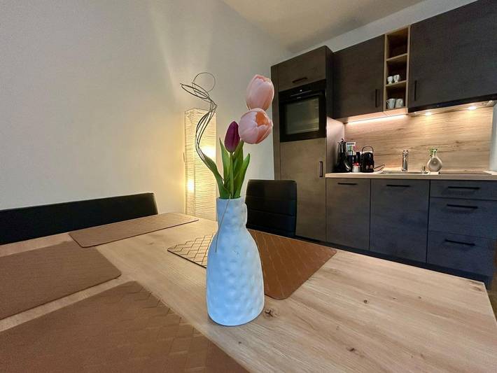 Ganze Ferienwohnung, App. Dachsteinblick - App. Dachsteinblick in Haus, Schladming-Dachstein