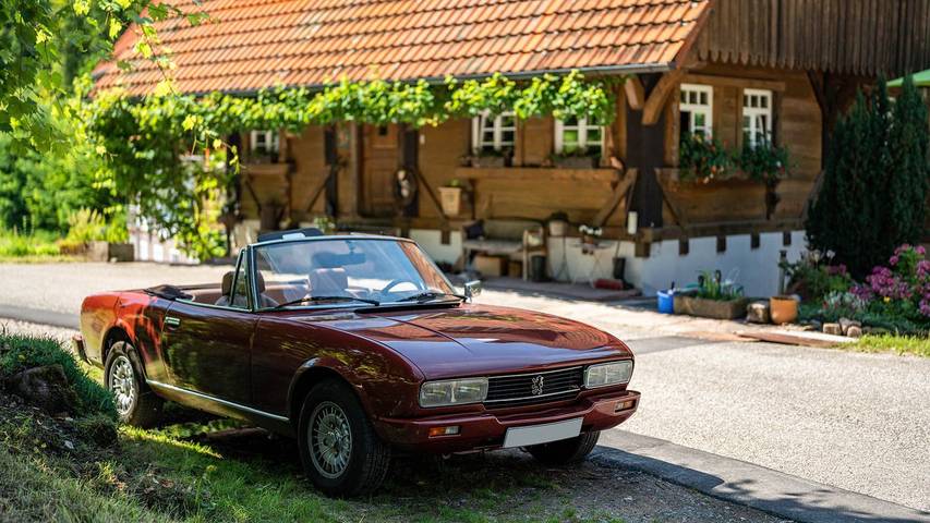 Ferienwohnung für 7 Personen, mit Garten und Sauna, kinderfreundlich in Gengenbach