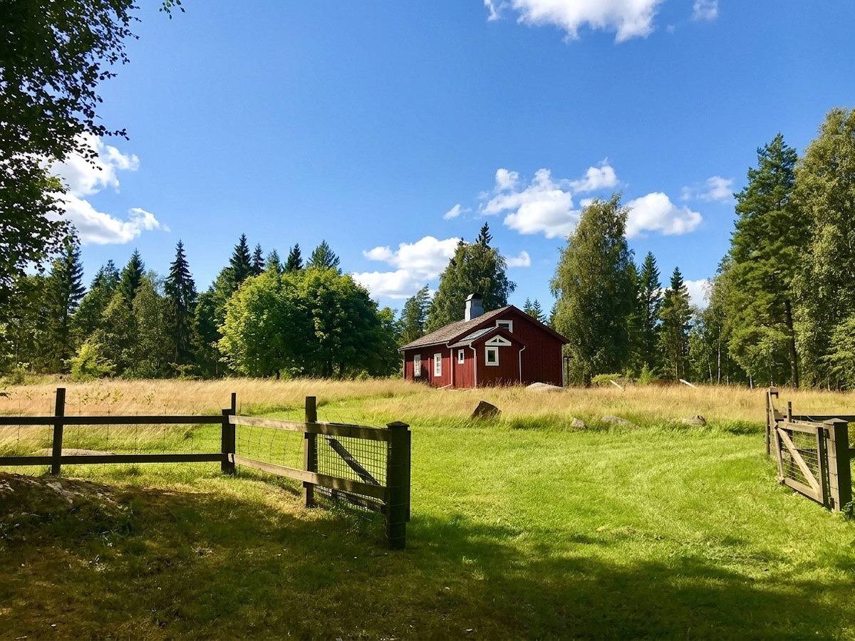 Entschleunigung in den tiefen Wäldern von Småland in Kronobergs