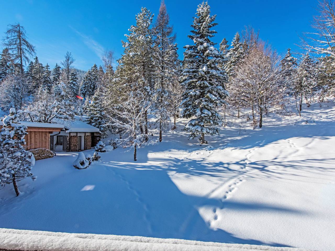 Ganze Wohnung, Waldblick in Innsbruck Land
