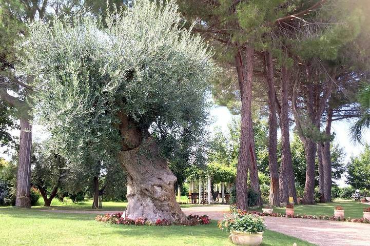La Stornara - Apulian Ancient Holydafarm - Apartment  La Mimosa in Ginosa, Golf von Tarent