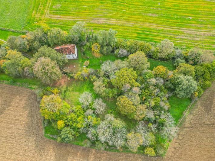 Location de vacances pour 14 personnes, avec vue et jardin, animaux acceptés dans Courlon