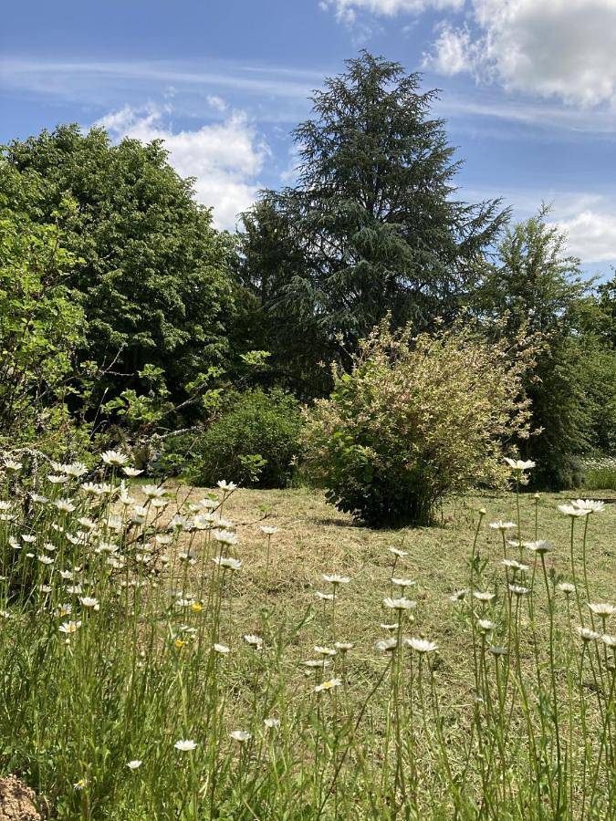 Gîte pour 2 personnes, avec vue et jardin dans Séreilhac - 3