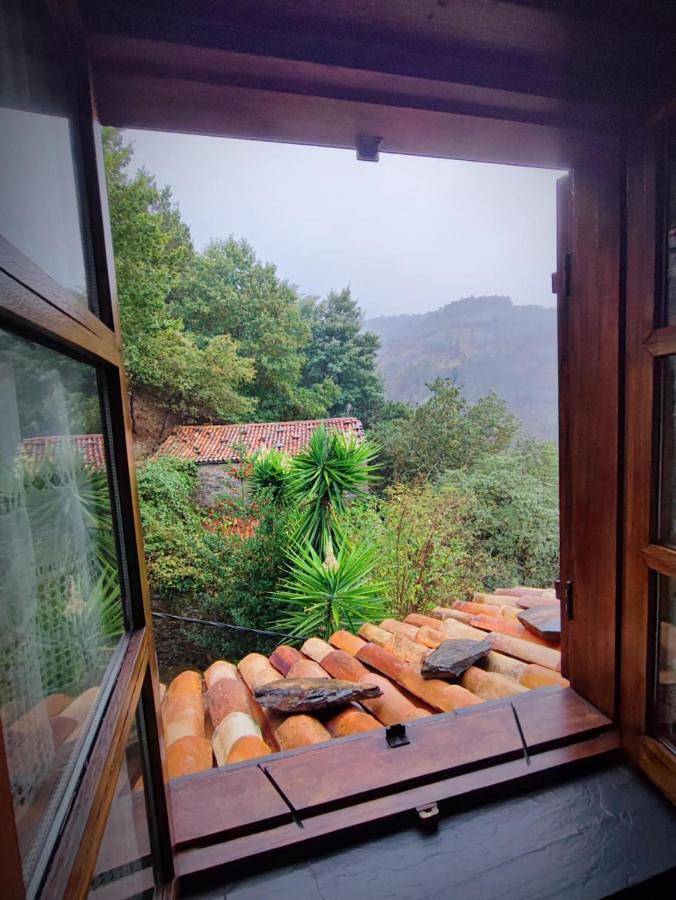 Gîte pour 4 personnes, avec terrasse et vue à Lousã - 4