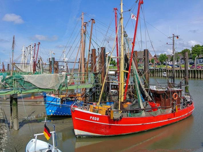 Ferienpark für 6 Personen, mit Terrasse und Garten an der Nordsee - 4