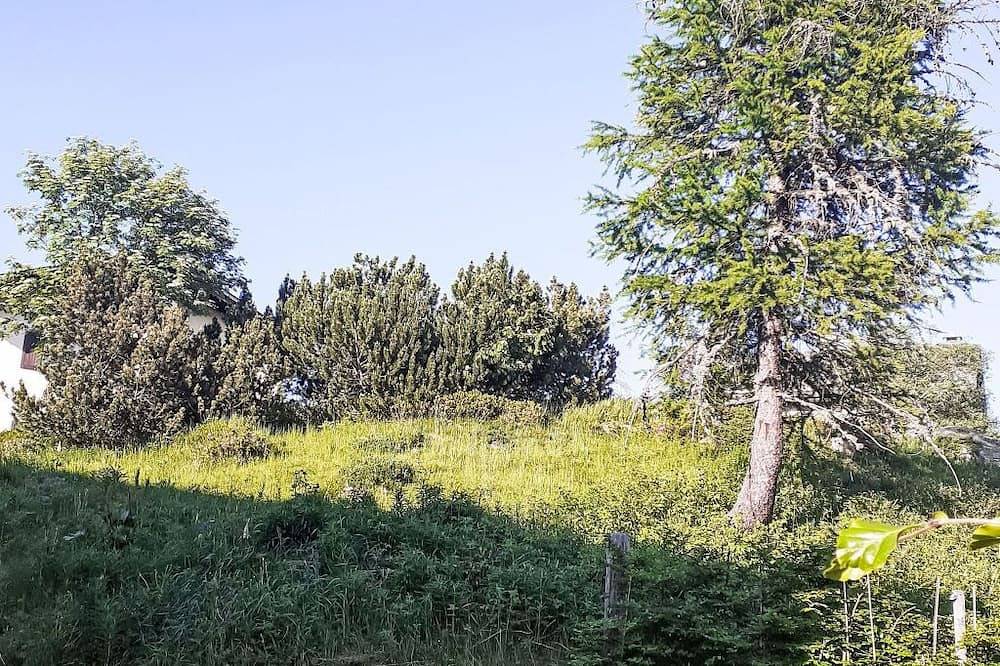 Apartamento entero, Cad Maté 1 in Bregaglia, Alpes del Bernina