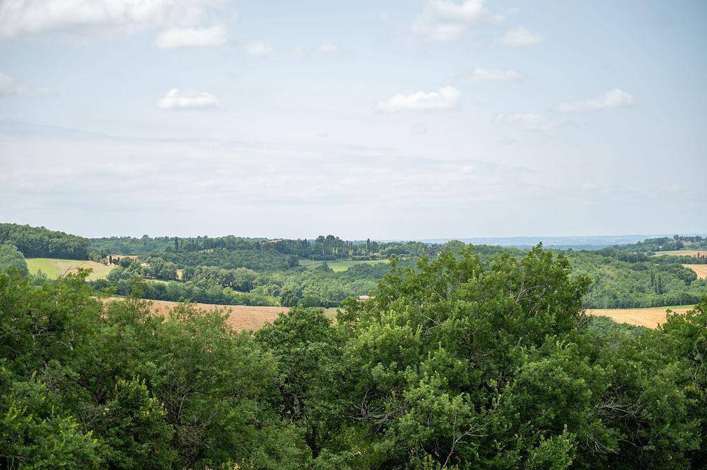 Meilhouret in Larroque, Région d'Albi