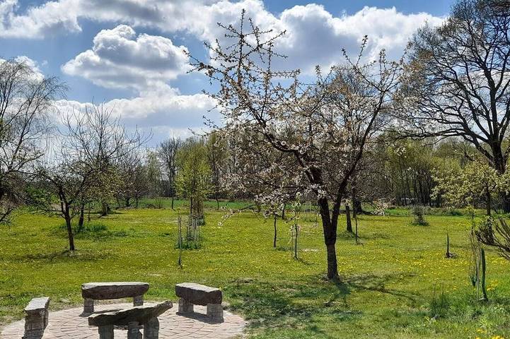 Ferienhaus für 6 Personen, mit Garten in Naturpark Aukrug - 4