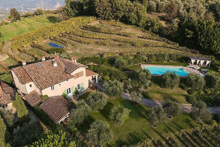 Villa per 10 persone, con idromassaggio e sauna nonché giardino, con animali domestici - 1