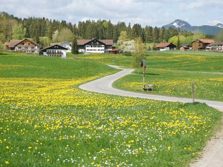 Ferienwohnung für 2 Personen, kinderfreundlich bei Neuschwanstein - 4