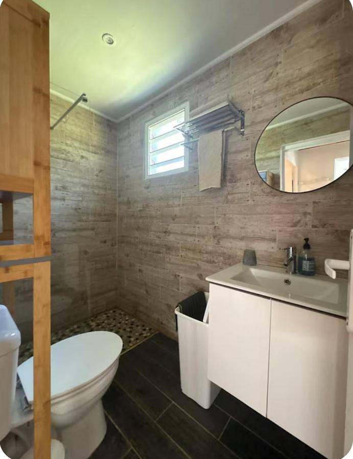 Gîte pour 4 personnes, avec terrasse ainsi que vue et jardin, animaux acceptés à La Plaine-des-Palmistes - 2