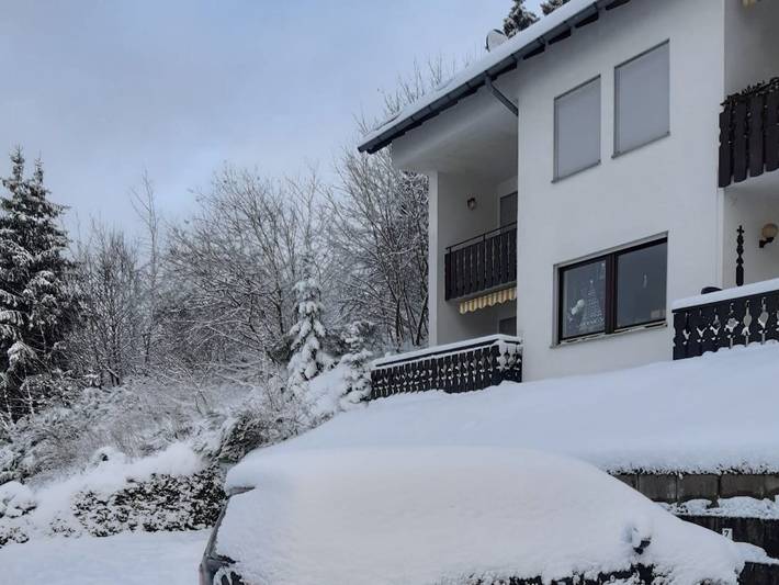 Ferienwohnung für 5 Personen, mit Balkon und Terrasse in Niedersfeld