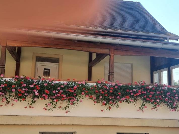 Location de vacances pour 6 personnes, avec jardin, adapté aux familles à Mackenheim - 2