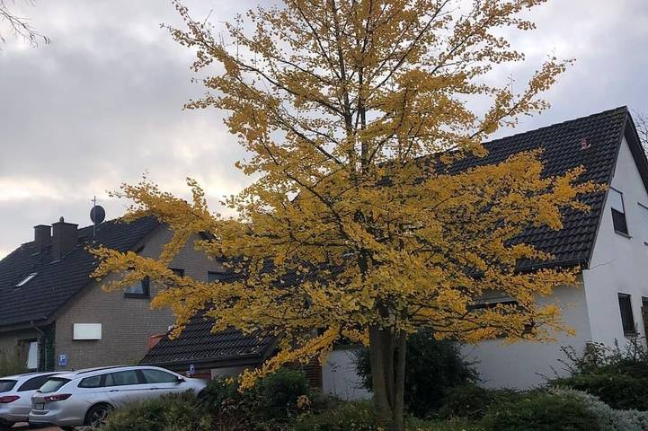 Appartement de vacances pour 5 personnes à Paderborn