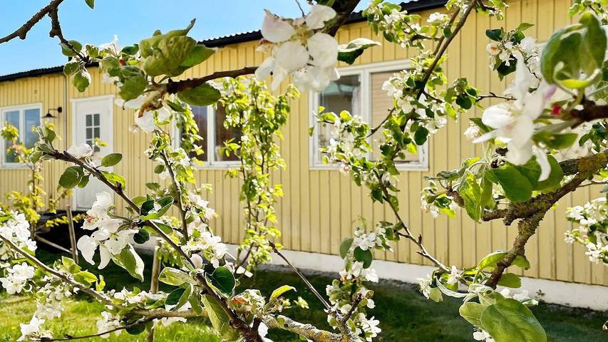 Ferienhaus für 6 Personen in Gotland - 2