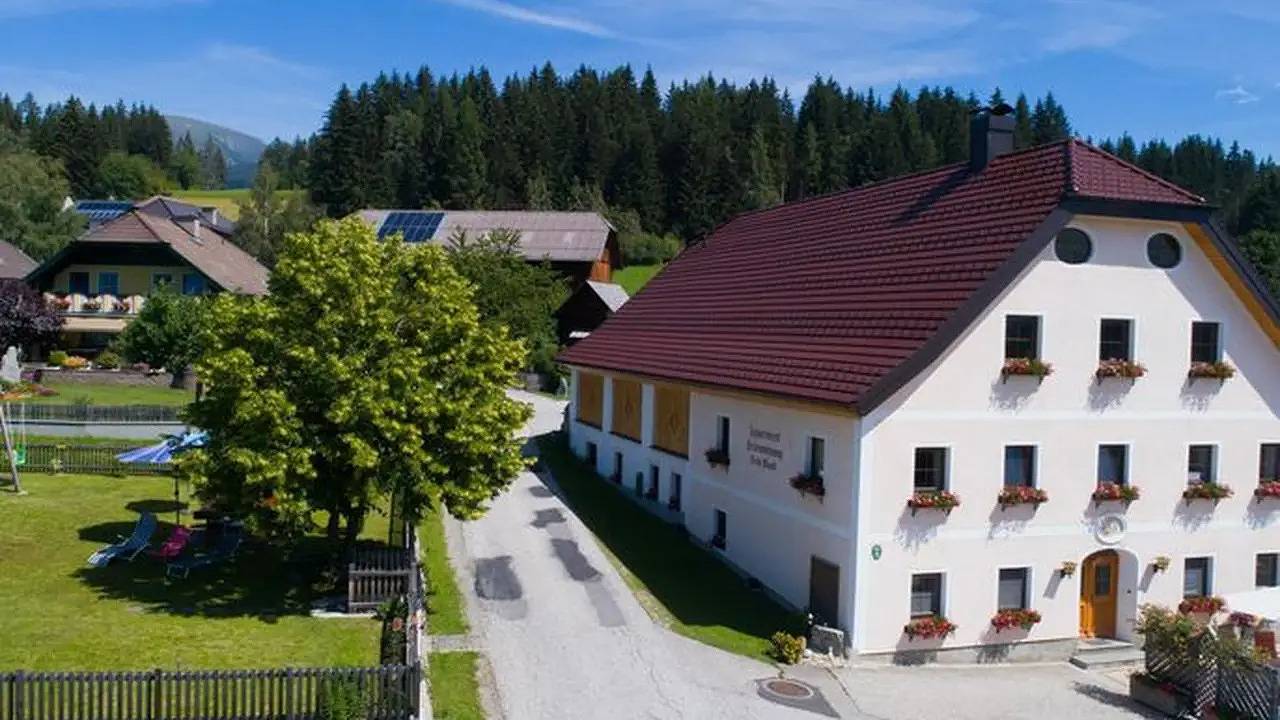 Ganze Ferienwohnung, Ferienwohnung für 2 Personen (27 m²) in Mariapfarr in Mariapfarr, Bundesland Salzburg