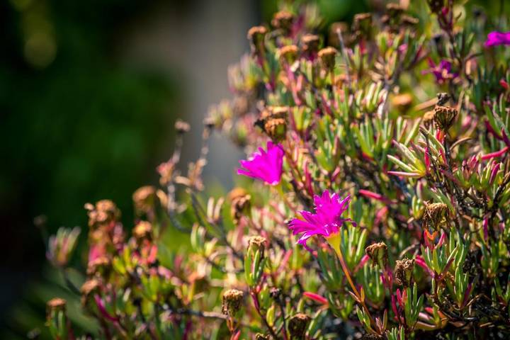 Location de vacances pour 15 personnes, avec piscine ainsi que jardin et vue à Sallèles-d'Aude - 3