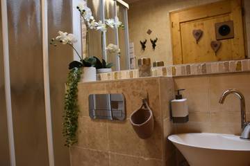 Chalet for 8 Guests in Pralognan-la-Vanoise, Savoie, Picture 4