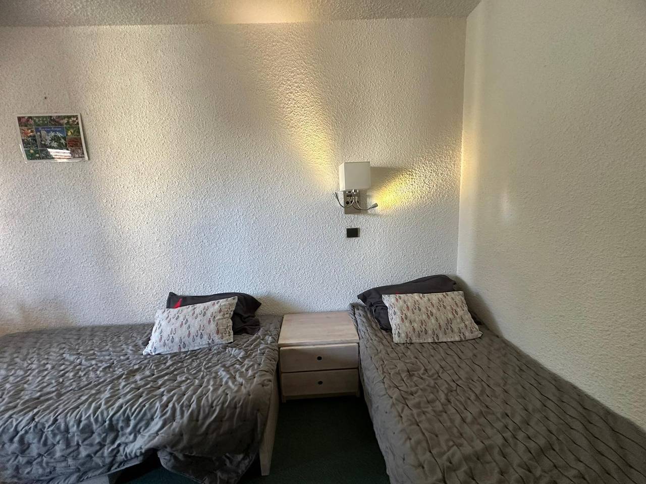 Studio entier, Studio divisible confortable, accès pistes, animaux admis in La Plagne, La Plagne-Tarentaise