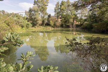 Gîte pour 4 Personnes dans Saint-Jory, Haute-Garonne, Photo 1