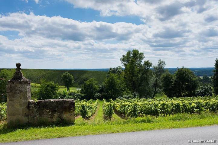 Maison de vacances pour 12 personnes, avec Terrasse et Jardin
