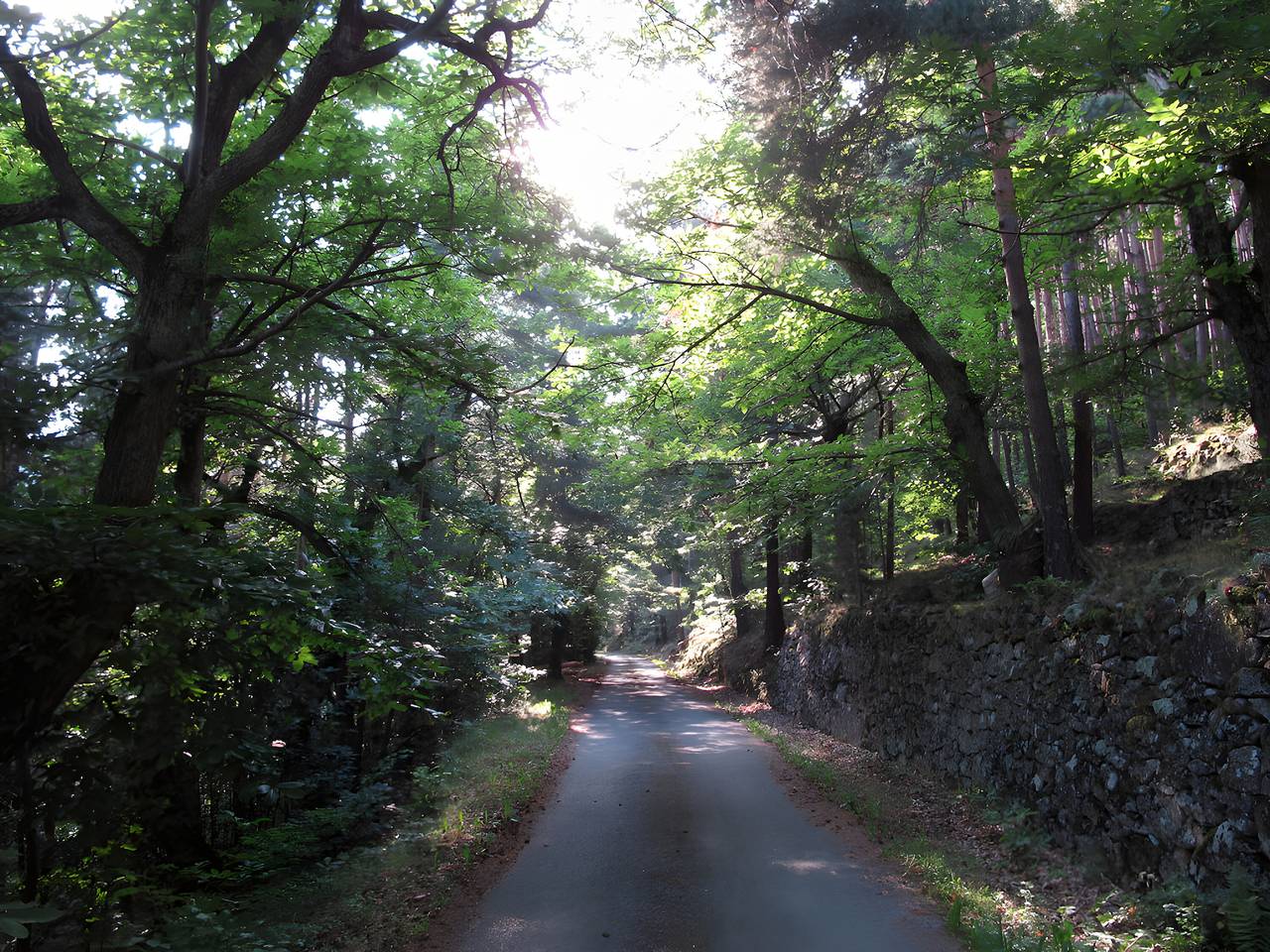 Maison de vacances « Loft de Charme La Rose Désirée » avec vue montagne et Wi-Fi in Saint-Jean-Chambre, Parc naturel régional des Monts d'Ardèche
