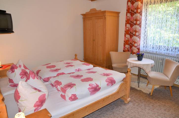 Double room, shower, toilet, facing the forest in Ochsenkopf, Warmensteinach